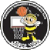 https://img.ytczs.com/img/basketball/team/e416830f4083698237c559f8988ddb25.png