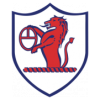 https://img.ytczs.com/img/football/team/11fb72f7b5eacfc881ee11bac75871fa.png