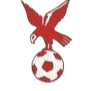 https://img.ytczs.com/img/football/team/4802d26df935b78bb2fcdbbff36e8864.png