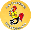 https://img.ytczs.com/img/football/team/63b0933cc303927659846a4ed54b1522.png