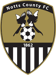 https://img.ytczs.com/img/football/team/9e230c89a846b9cadf91884918fa7611.png